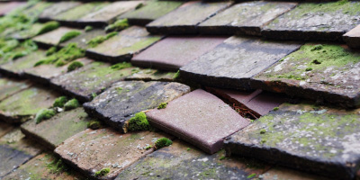 Denham roof repair costs